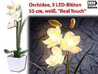 Lunartec LED-Orchidee "Real Touch" mit 3 LED-Blüten, 55 cm, weiß