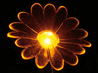 ; Beleuchtungen Tischleuchten Dekolampen Lichtdeco Tisch Lichter Lampen 