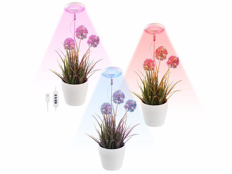 ; LED-Pflanzenlampen E27 (rot & blau), LED-Pflanzenwachstums-Streifen LED-Pflanzenlampen E27 (rot & blau), LED-Pflanzenwachstums-Streifen LED-Pflanzenlampen E27 (rot & blau), LED-Pflanzenwachstums-Streifen