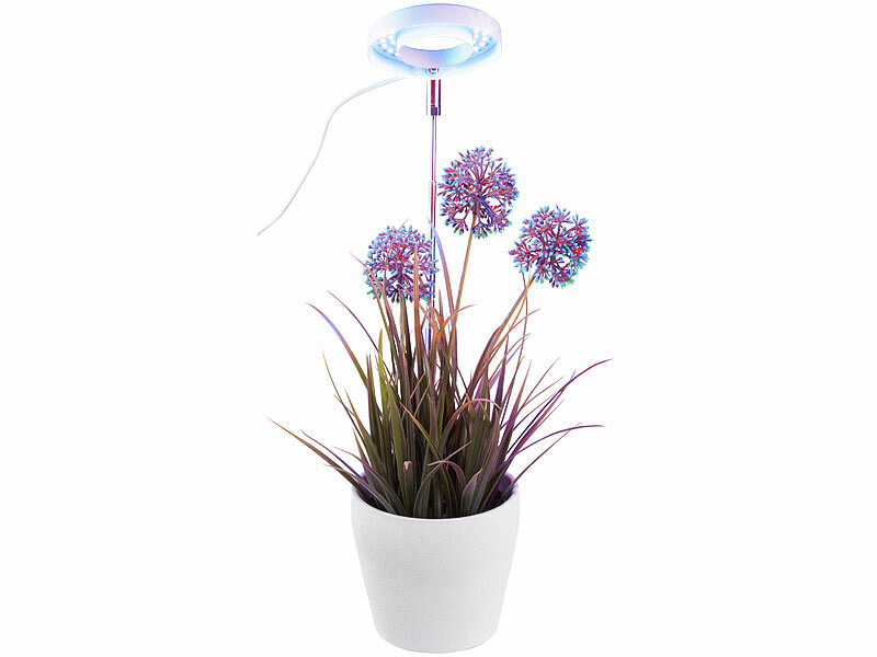 ; LED-Pflanzenlampen E27 (rot & blau), LED-Pflanzenwachstums-Streifen LED-Pflanzenlampen E27 (rot & blau), LED-Pflanzenwachstums-Streifen 