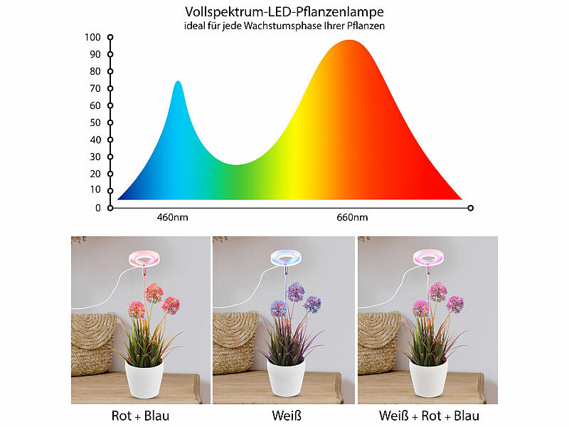 ; LED-Pflanzenlampen E27 (rot & blau), LED-Pflanzenwachstums-Streifen LED-Pflanzenlampen E27 (rot & blau), LED-Pflanzenwachstums-Streifen LED-Pflanzenlampen E27 (rot & blau), LED-Pflanzenwachstums-Streifen