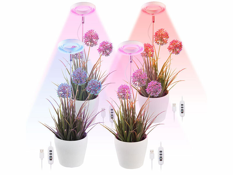 ; LED-Pflanzenlampen E27 (rot & blau), LED-Pflanzenwachstums-Streifen LED-Pflanzenlampen E27 (rot & blau), LED-Pflanzenwachstums-Streifen LED-Pflanzenlampen E27 (rot & blau), LED-Pflanzenwachstums-Streifen