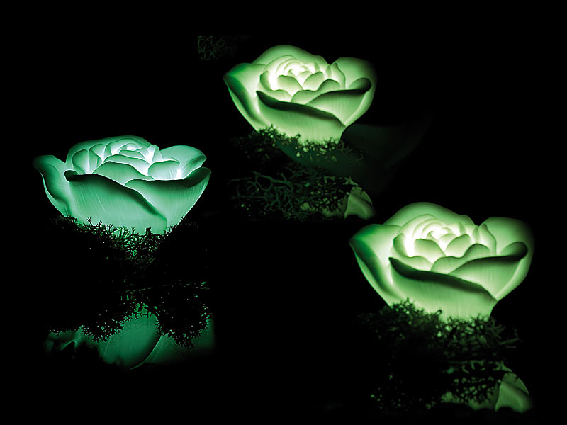 ; Schwimmende LED-Lampen 