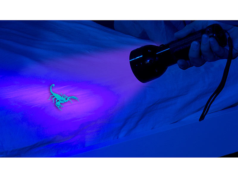 ; LED-Taschenlampen, Stirnlampen LED-Taschenlampen, Stirnlampen LED-Taschenlampen, Stirnlampen 