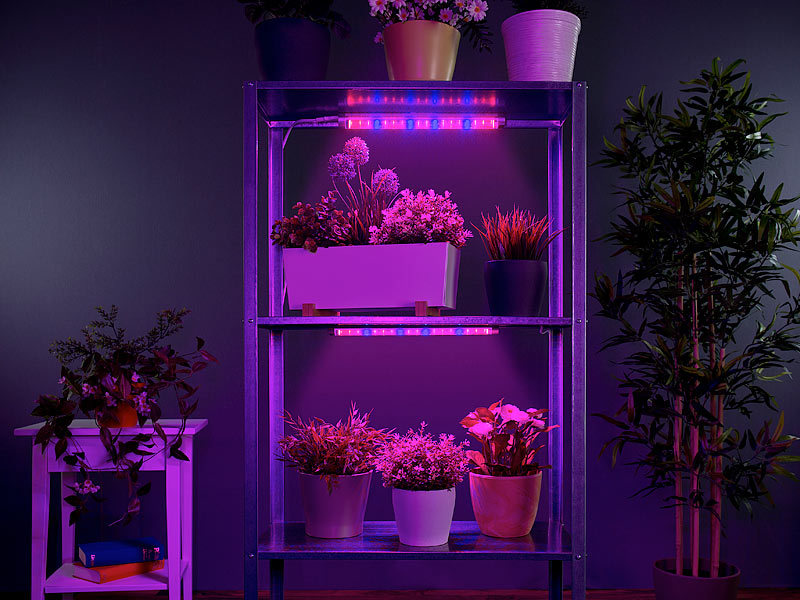 ; LED-Pflanzenleuchten für besseres Wachsen der Pflanzen Gewächshäuser PflanzenLEDs Plant-Lamps LED-Pflanzenleuchten für besseres Wachsen der Pflanzen Gewächshäuser PflanzenLEDs Plant-Lamps 