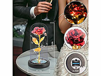 ; LED Lichtschläuche LED Lichtschläuche LED Lichtschläuche 