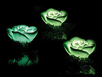 ; Schwimmende LED-Lampen 