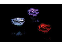 ; Schwimmende LED-Lampen 