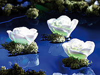 ; Schwimmende LED-Lampen 
