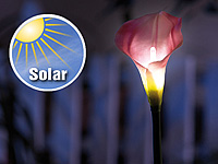 ; Solarlampen-Blumen für Terrassen, Balkone 