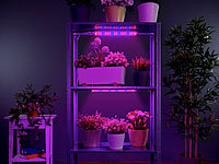 ; LED-Pflanzenleuchten für besseres Wachsen der Pflanzen Gewächshäuser PflanzenLEDs Plant-Lamps LED-Pflanzenleuchten für besseres Wachsen der Pflanzen Gewächshäuser PflanzenLEDs Plant-Lamps 