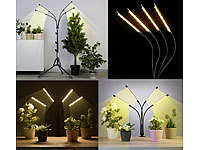 ; LED-Taschenlampen LED-Taschenlampen 